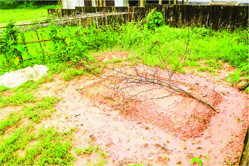 Image of তাজউদ্দিন
